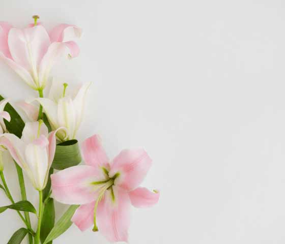 Flowers By Nora